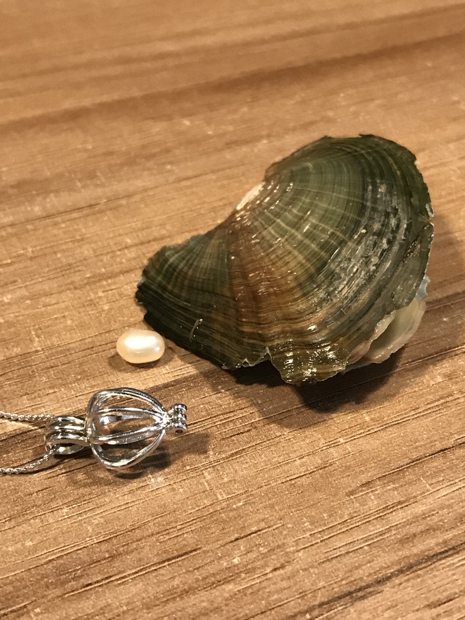 Pérola na Ostra + Colar de Brinde - Pérolla Oficial